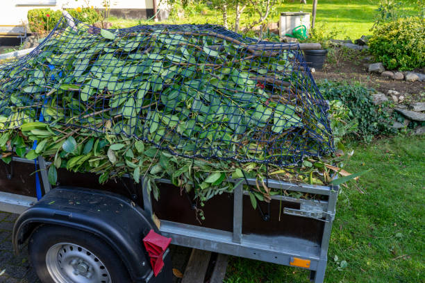 Best Recycling Services for Junk  in East Douglas, MA
